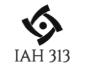 IAH 313